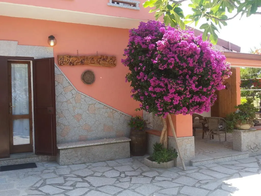 Antico Casolare Sorso-Tourist Rental Willa