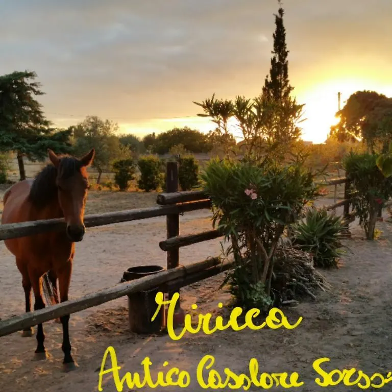 Willa Antico Casolare Sorso-Tourist Rental Włochy